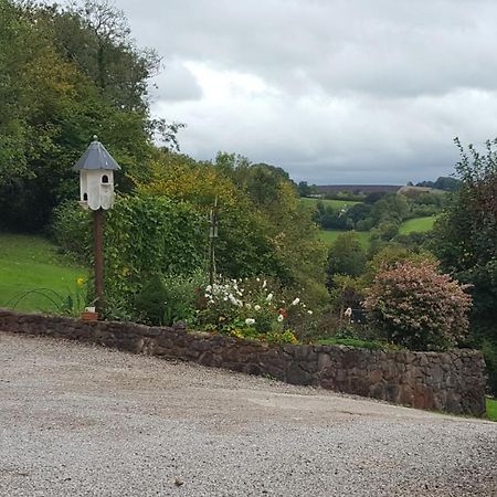 Immaculate 1-Bed Lodge Newton Abbot Torquay Kingskerswell Екстериор снимка